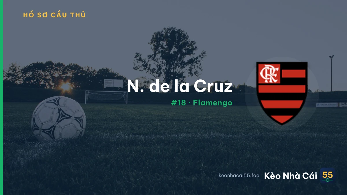 N. de la Cruz — Flamengo