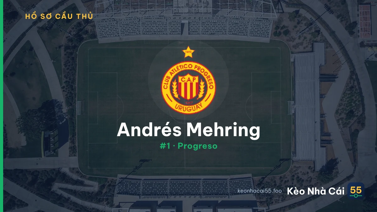 A. Mehring