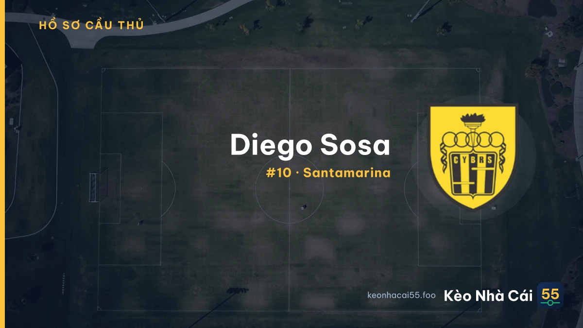 Diego Sosa — Santamarina