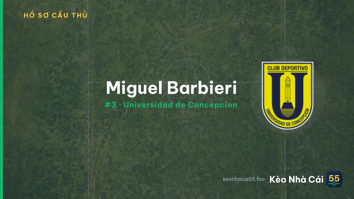Miguel Barbieri — Universidad de Concepcion