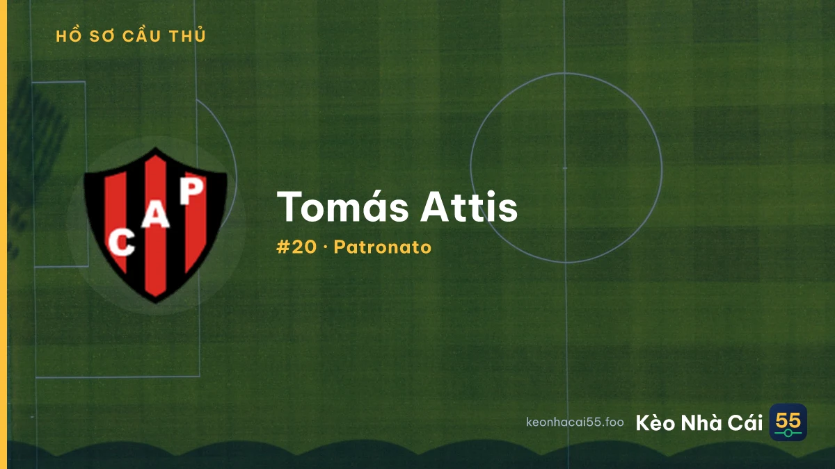 Tomás Attis — Patronato