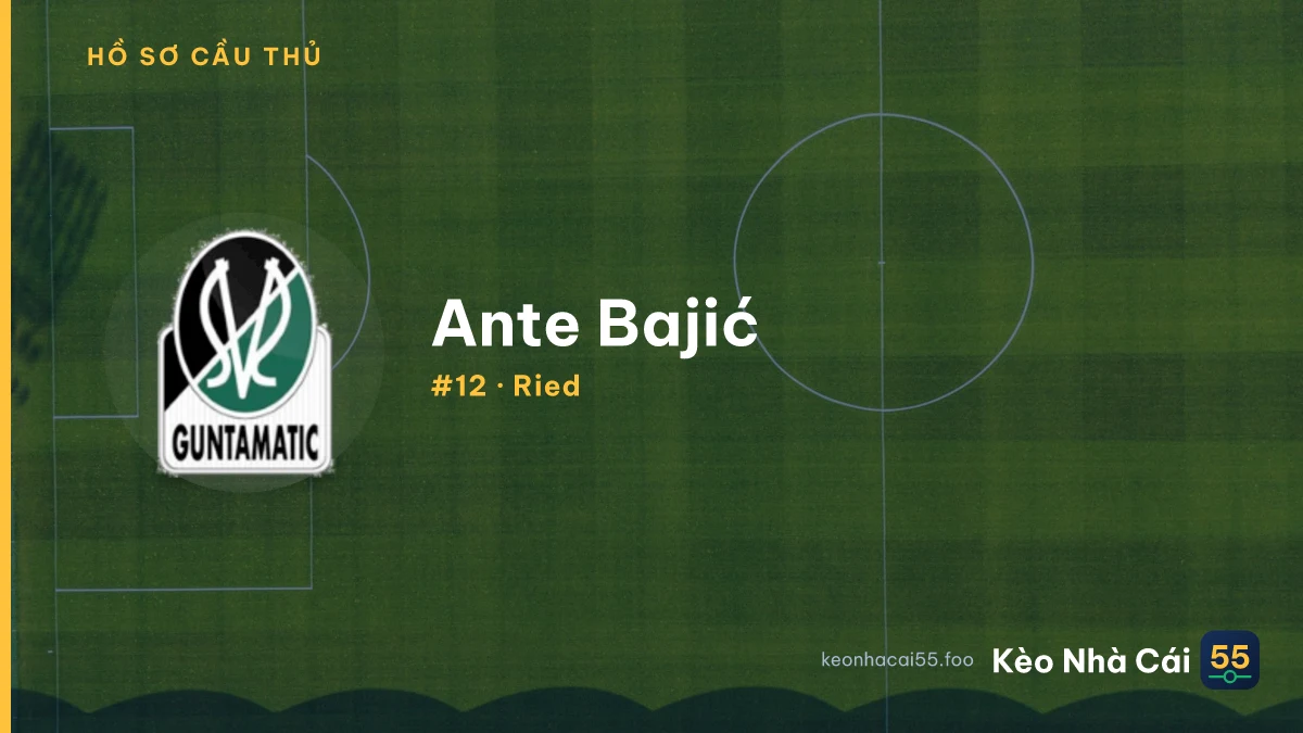 Ante Bajić — Ried