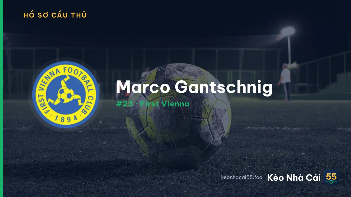 Marco Gantschnig — First Vienna