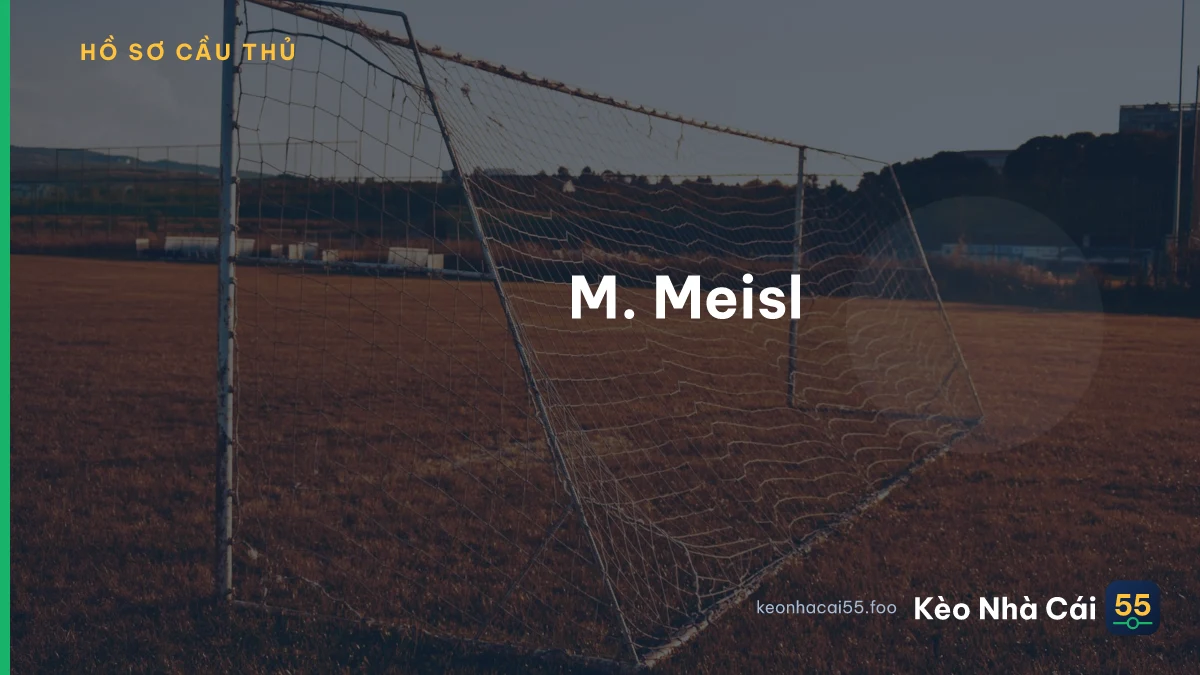 M. Meisl