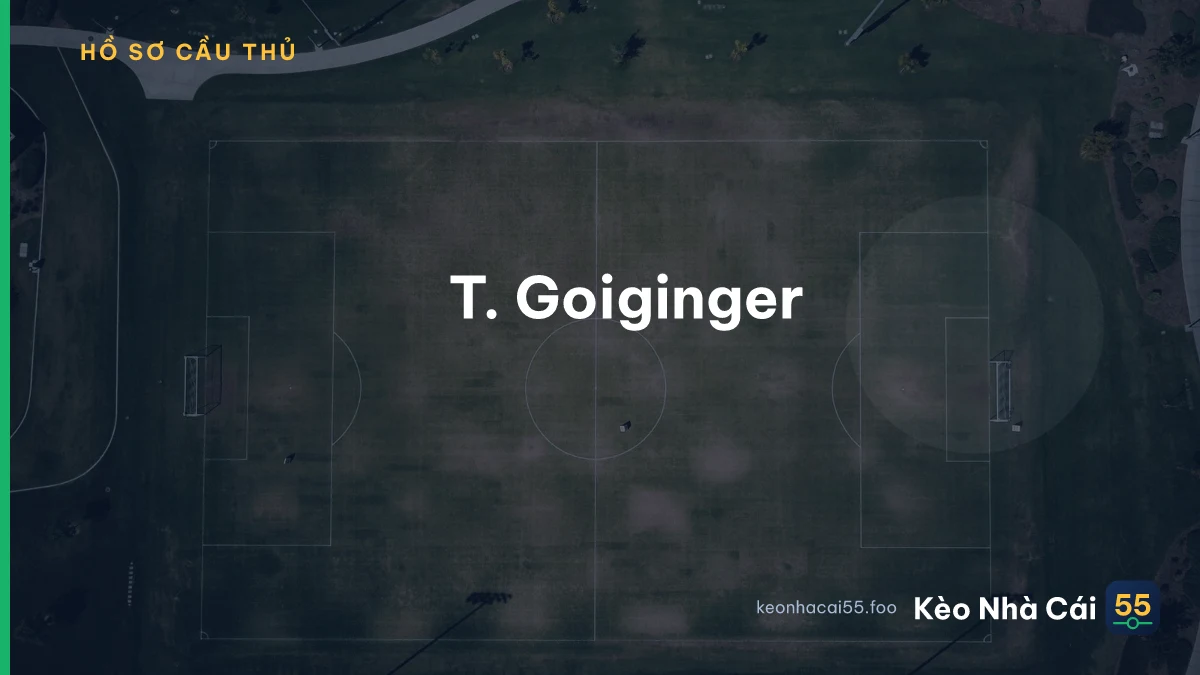 T. Goiginger