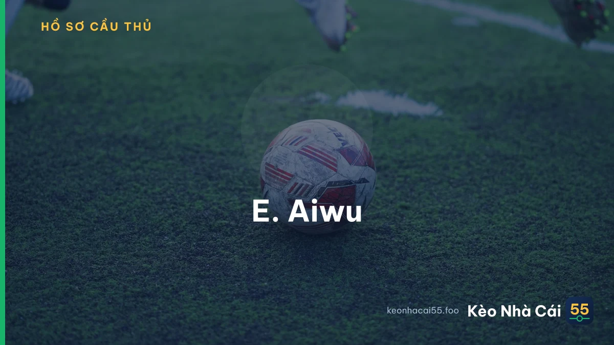 E. Aiwu