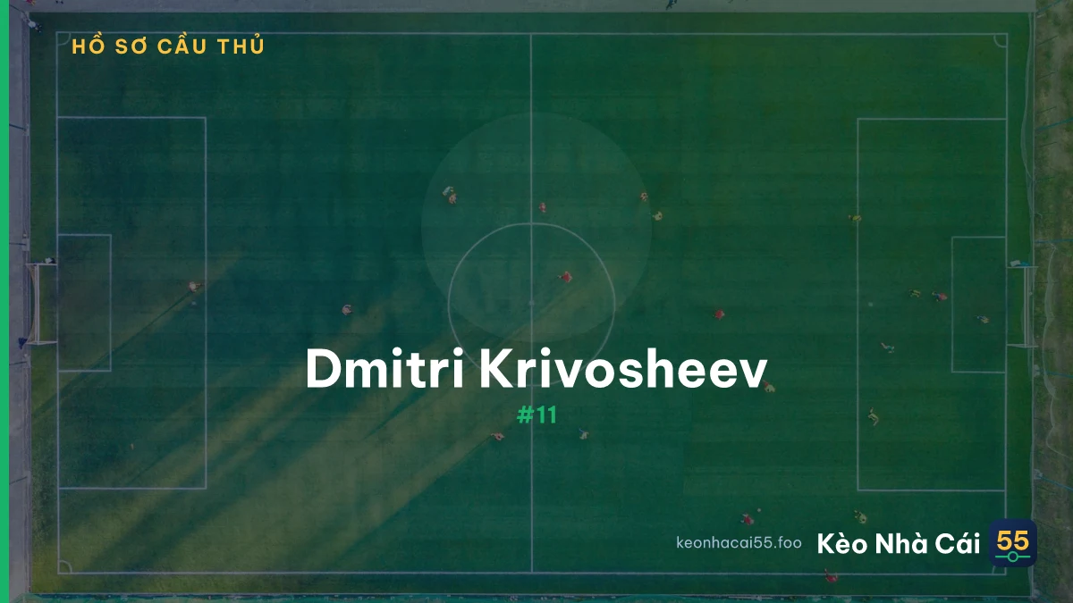 D. Krivosheev