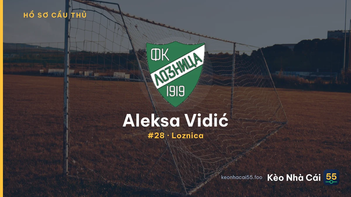 Aleksa Vidić — Loznica
