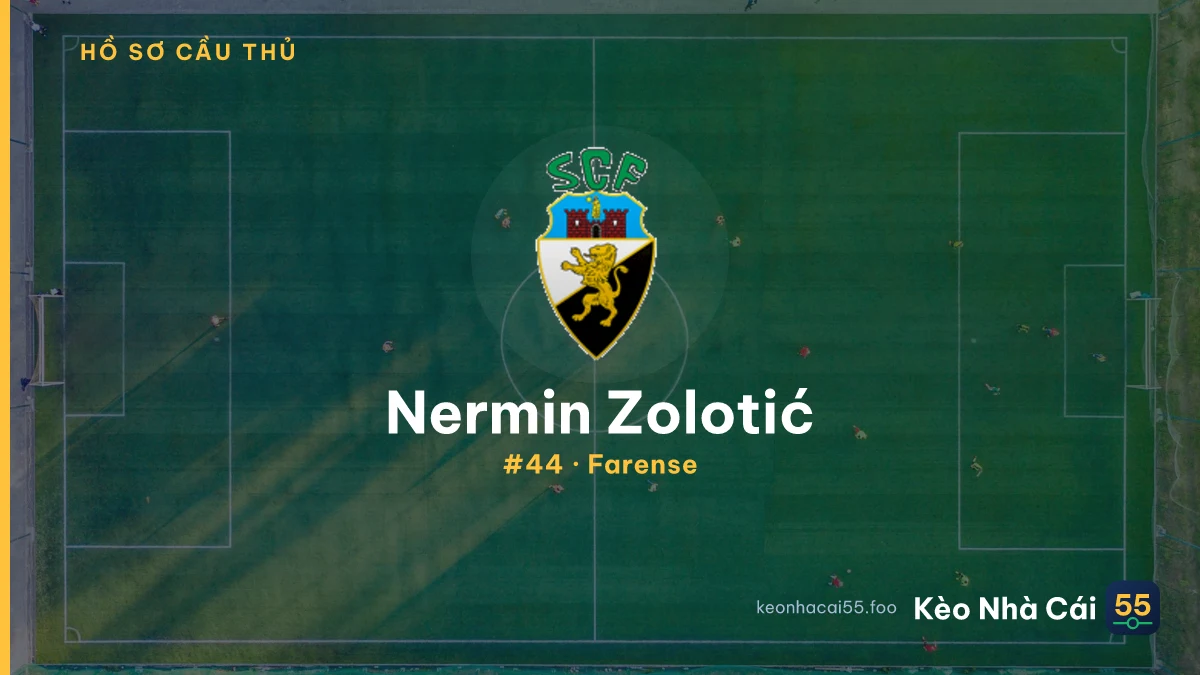 N. Zolotić