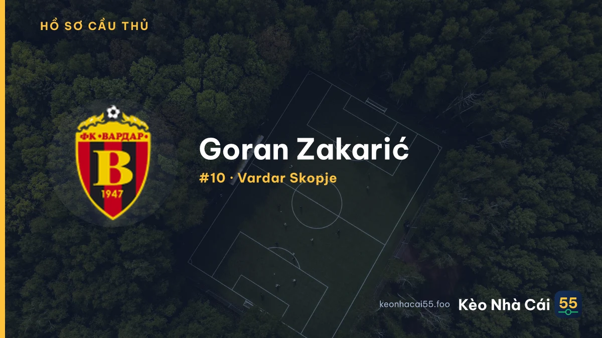 Goran Zakarić — Vardar Skopje