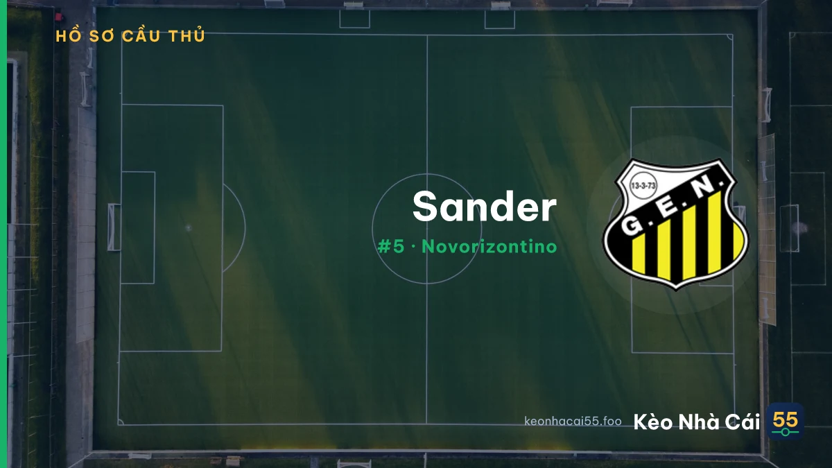 Sander