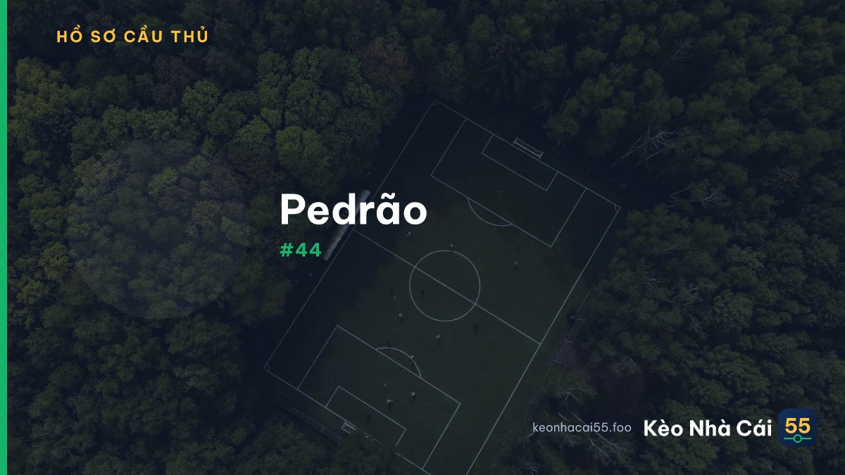 Pedrão