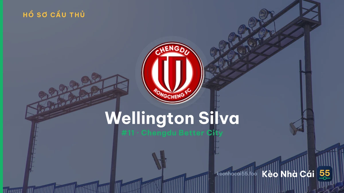 Wellington Silva