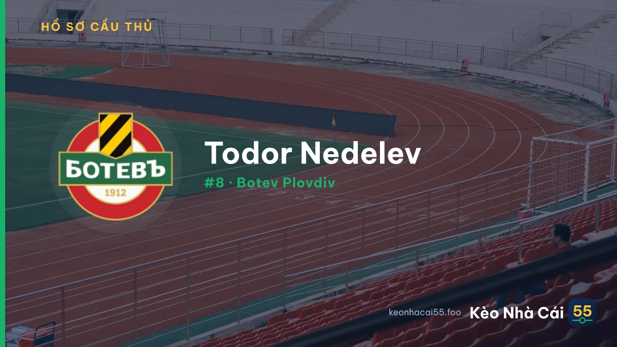 T. Nedelev