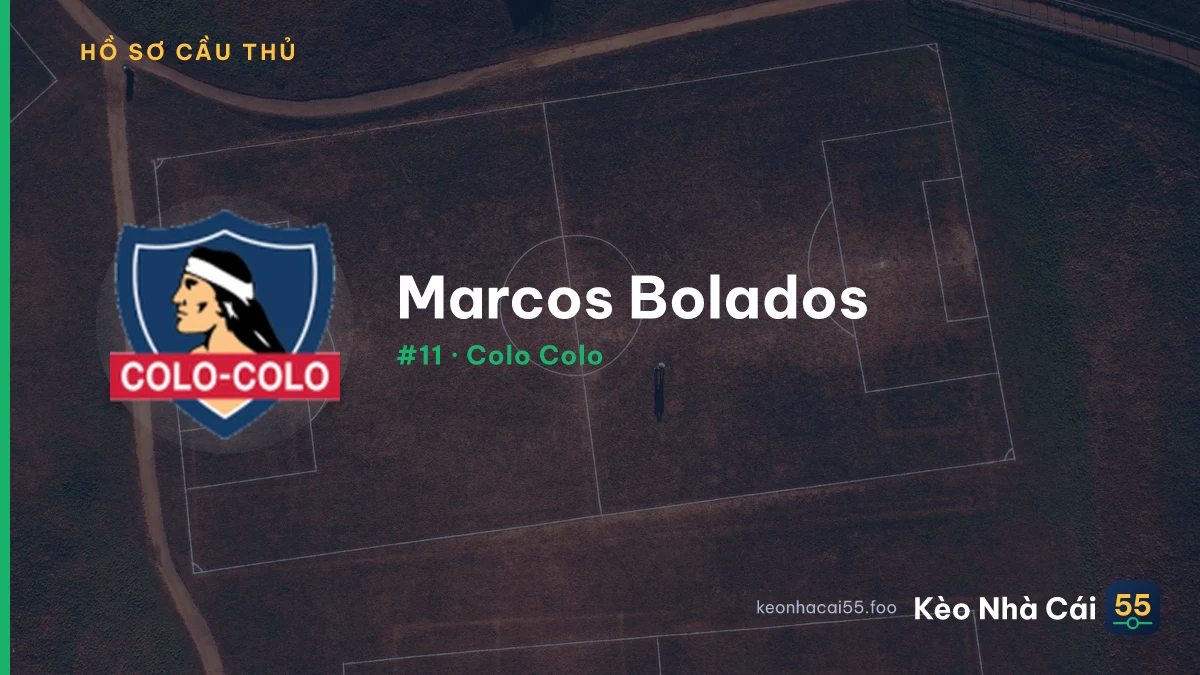 M. Bolados