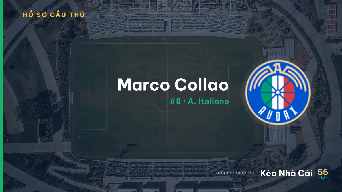 M. Collao