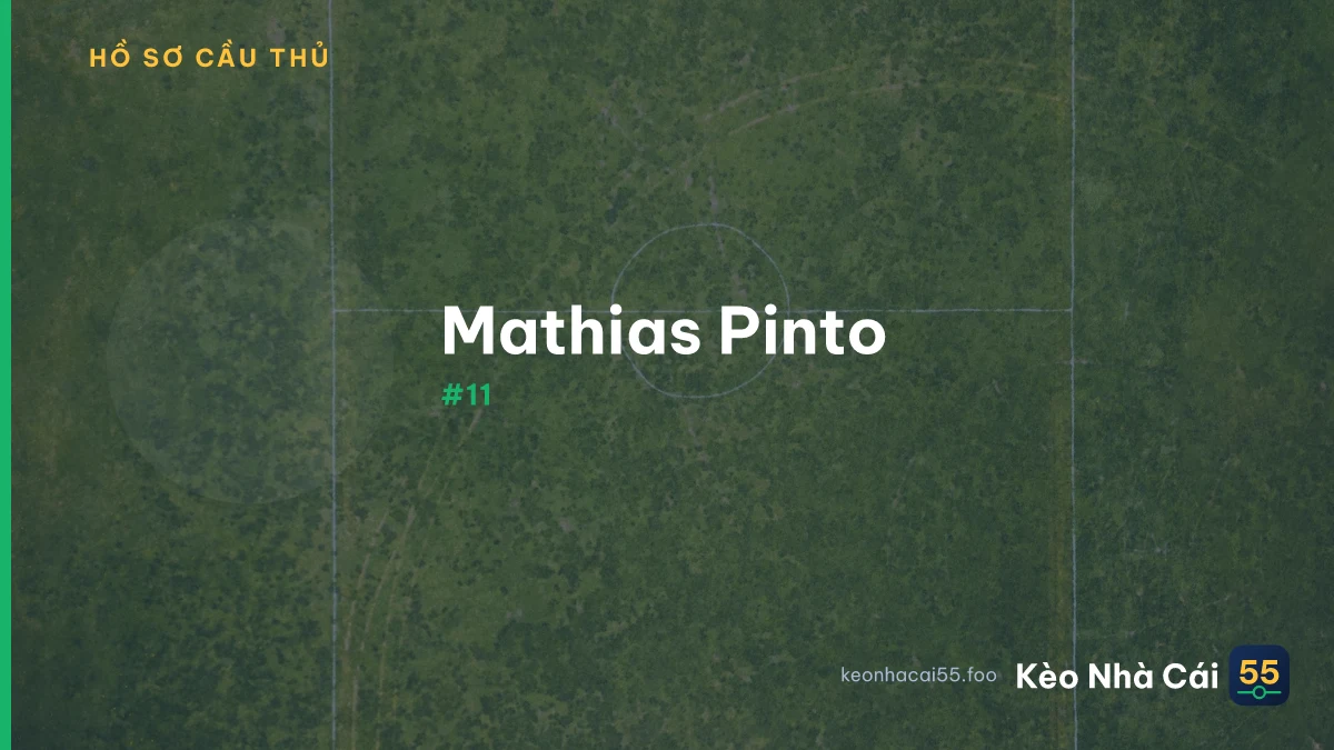 M. Pinto