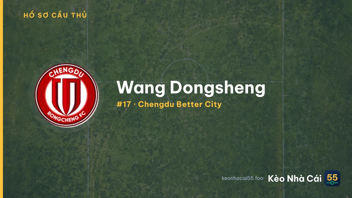 Wang Dongsheng — Chengdu Better City