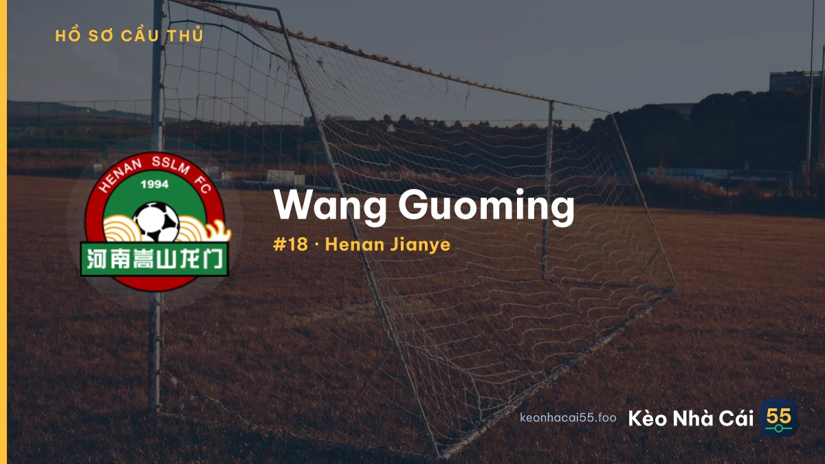 Wang Guoming — Henan Jianye