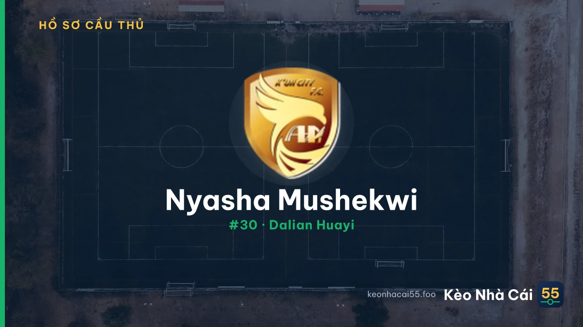 Nyasha Mushekwi