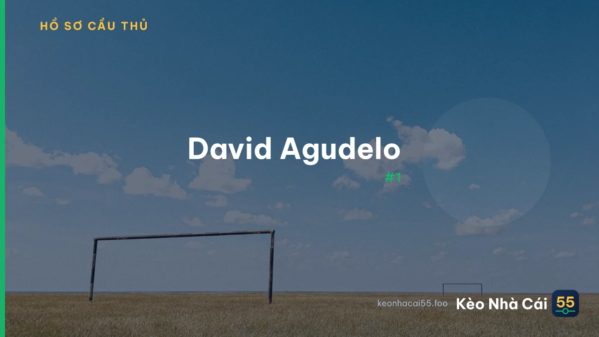 D. Agudelo