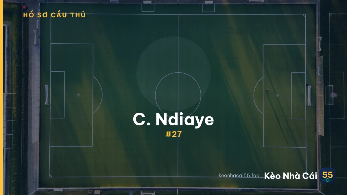 C. Ndiaye