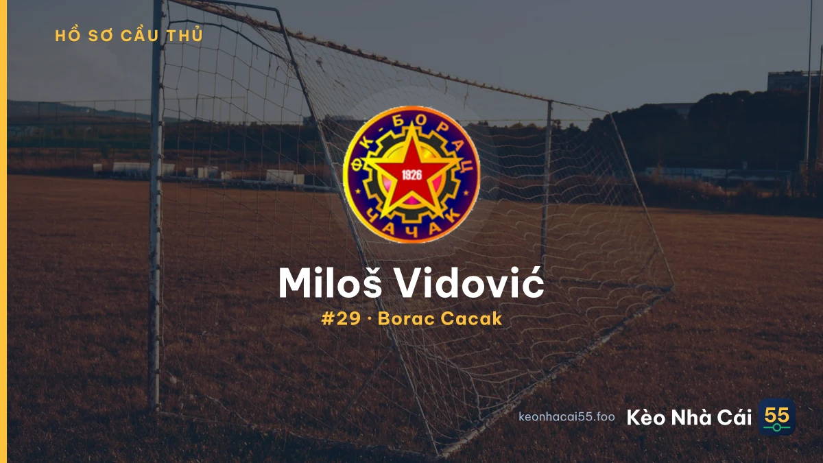 Miloš Vidović — Borac Cacak