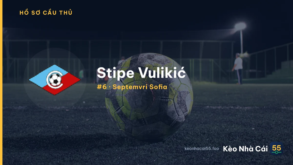 S. Vulikić
