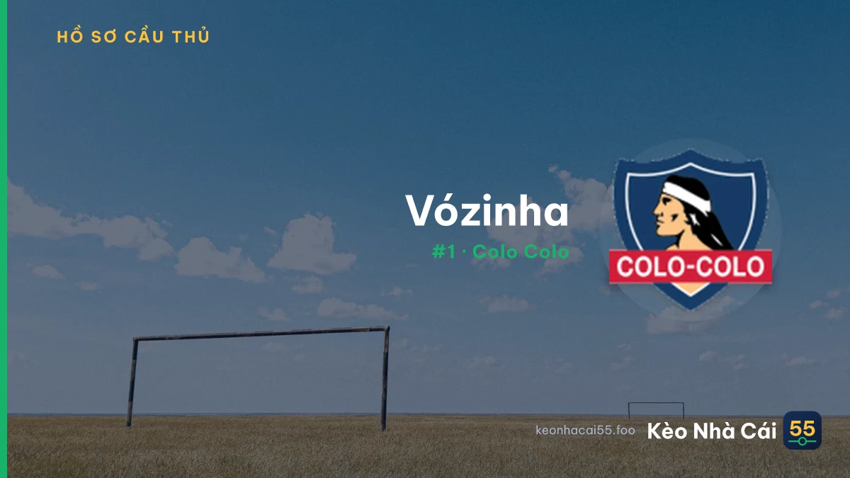Vózinha