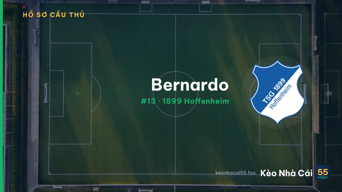Bernardo — 1899 Hoffenheim