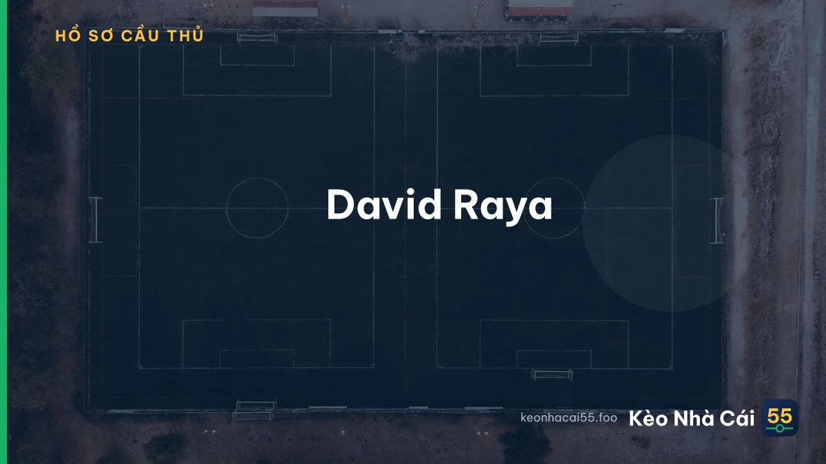 David Raya