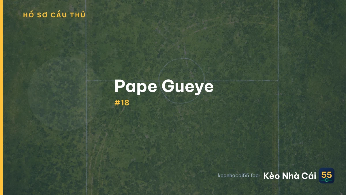 P. Gueye