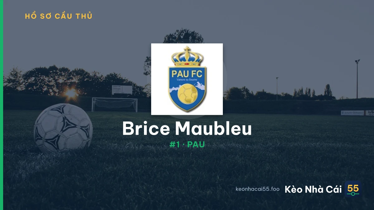 Brice Maubleu — Saint-Étienne II