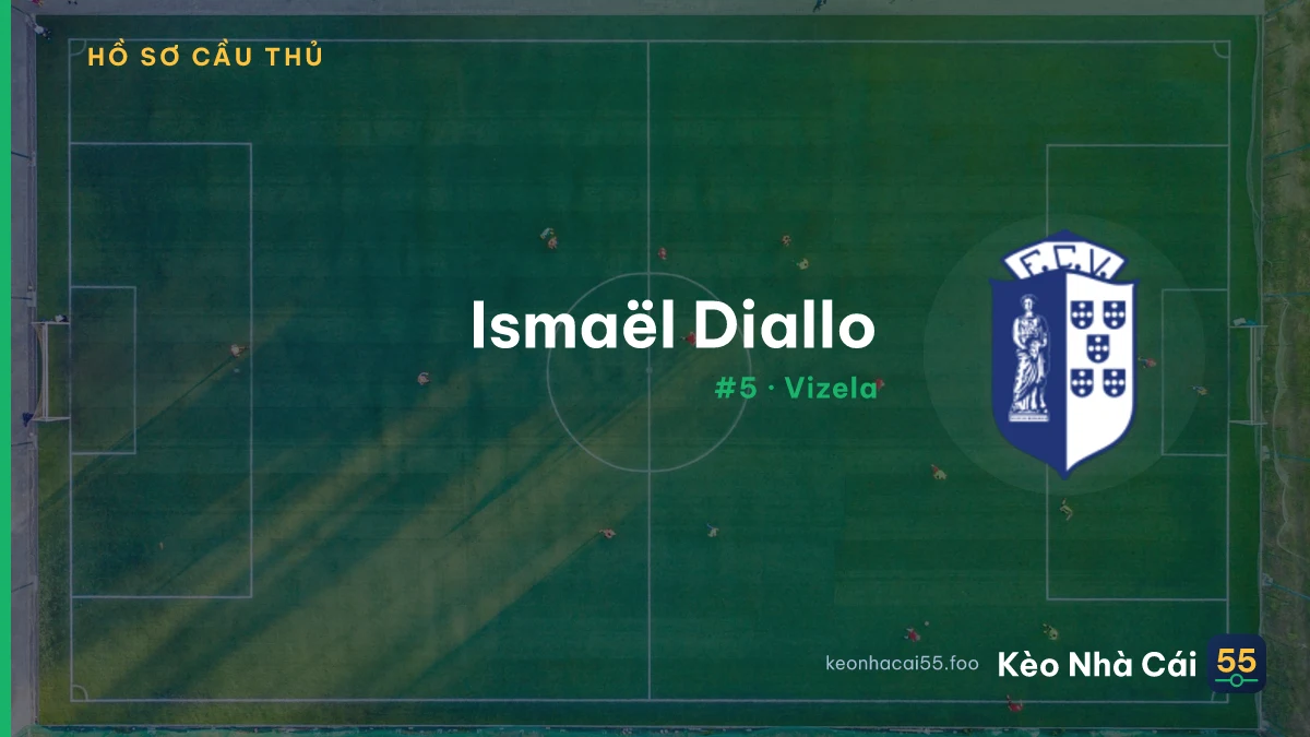 I. Diallo