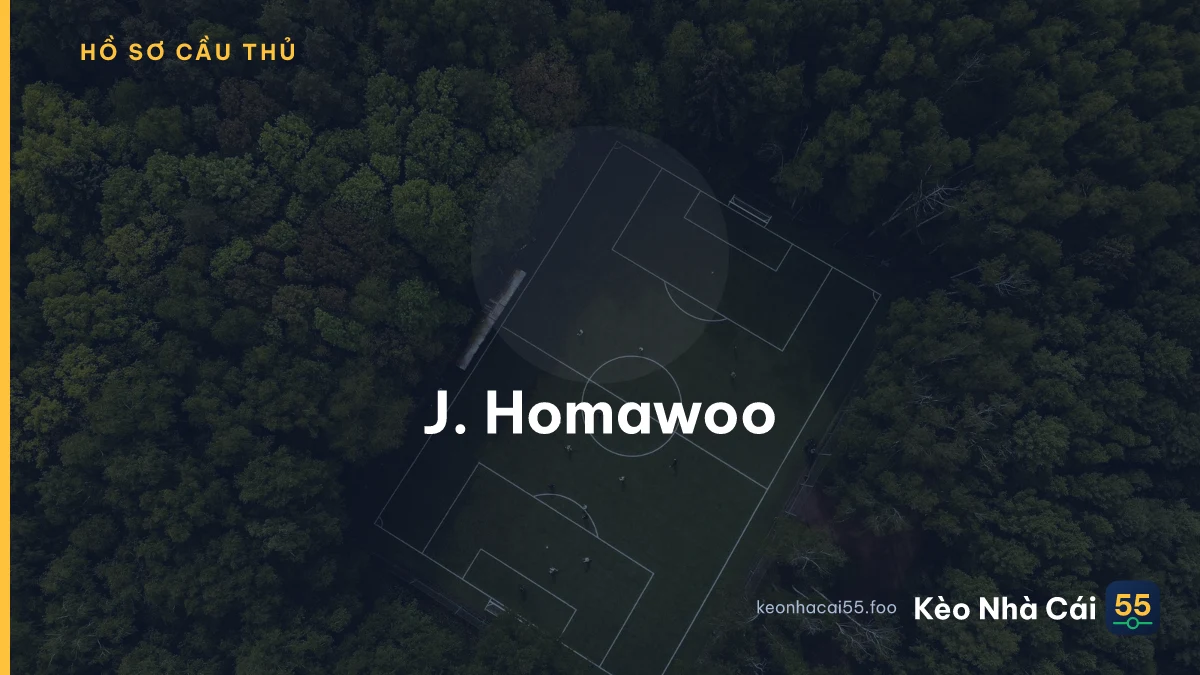J. Homawoo