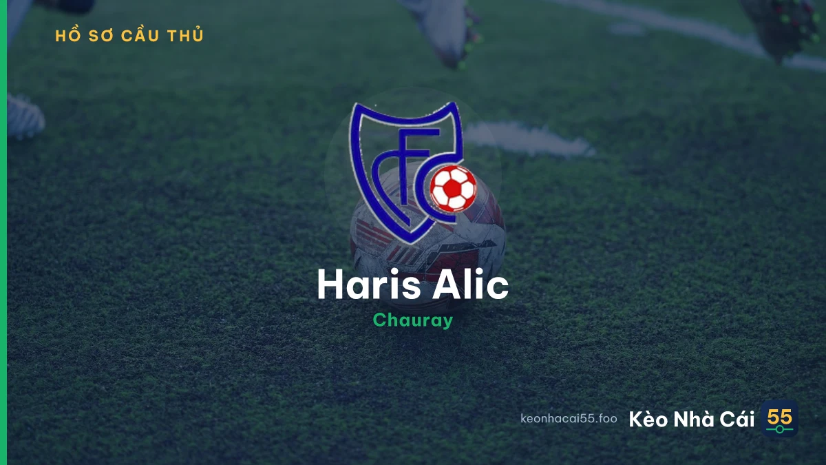 Haris Alic — Chauray