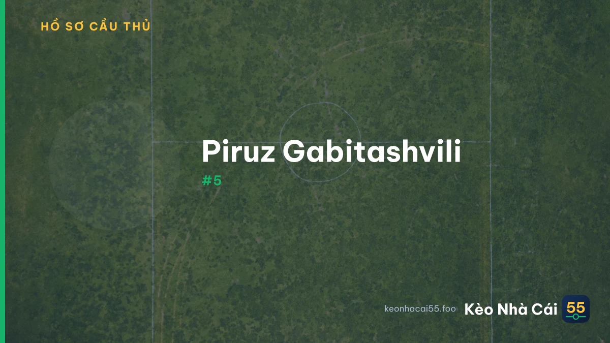 P. Gabitashvili