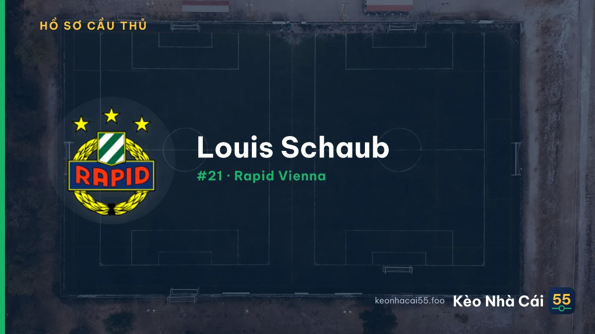 L. Schaub