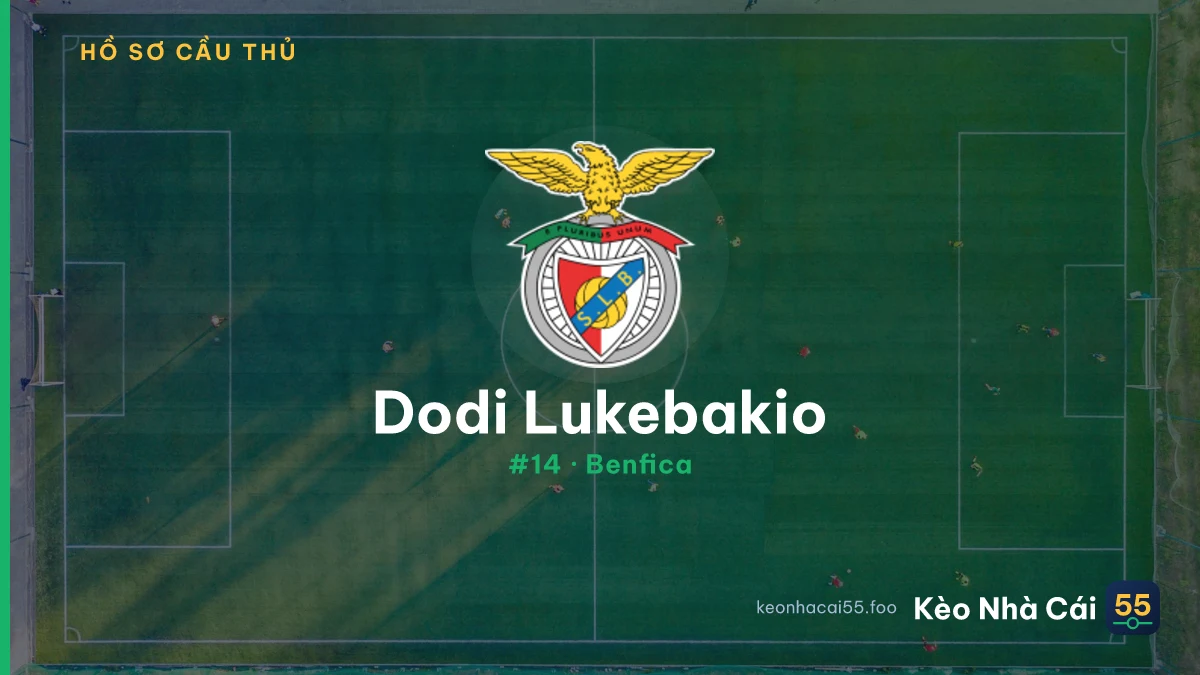 D. Lukebakio