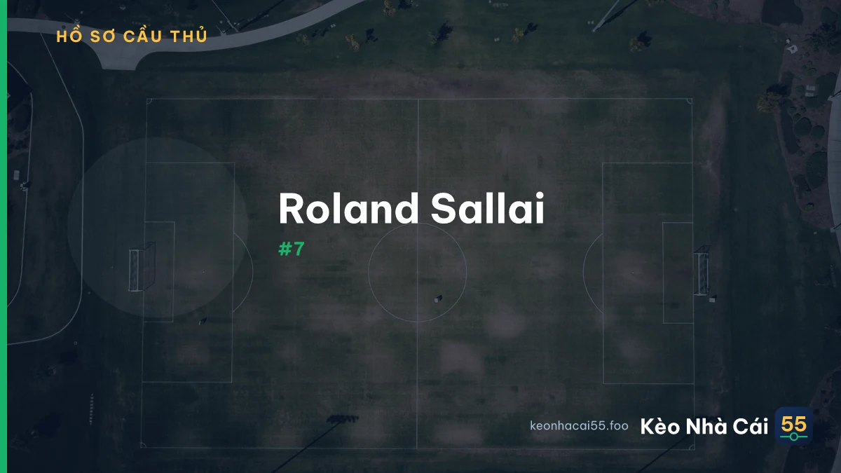 R. Sallai