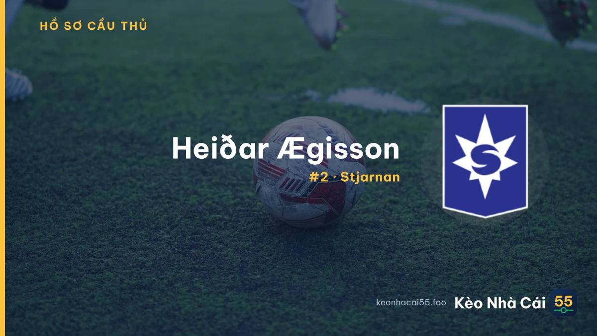 Heiðar Ægisson