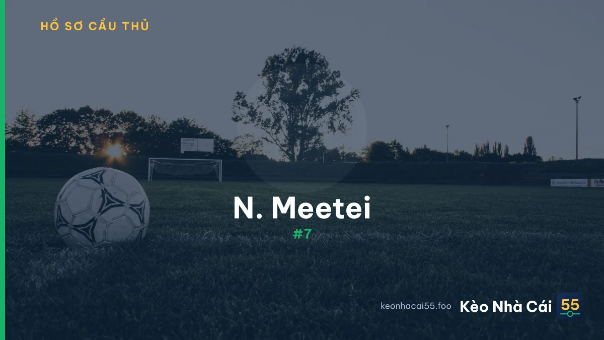N. Meetei