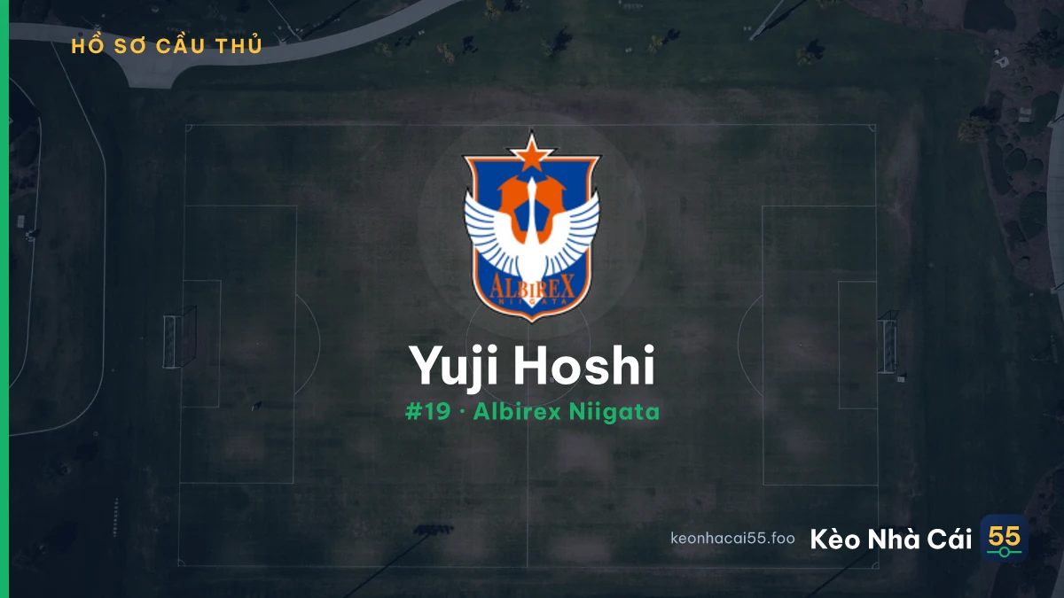 Y. Hoshi — Albirex Niigata