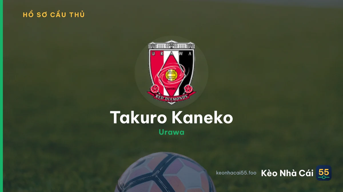 T. Kaneko