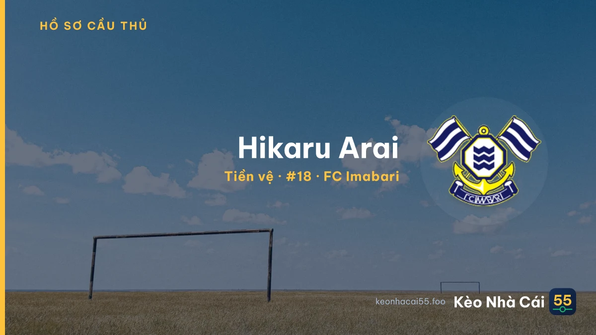 Hikaru Arai