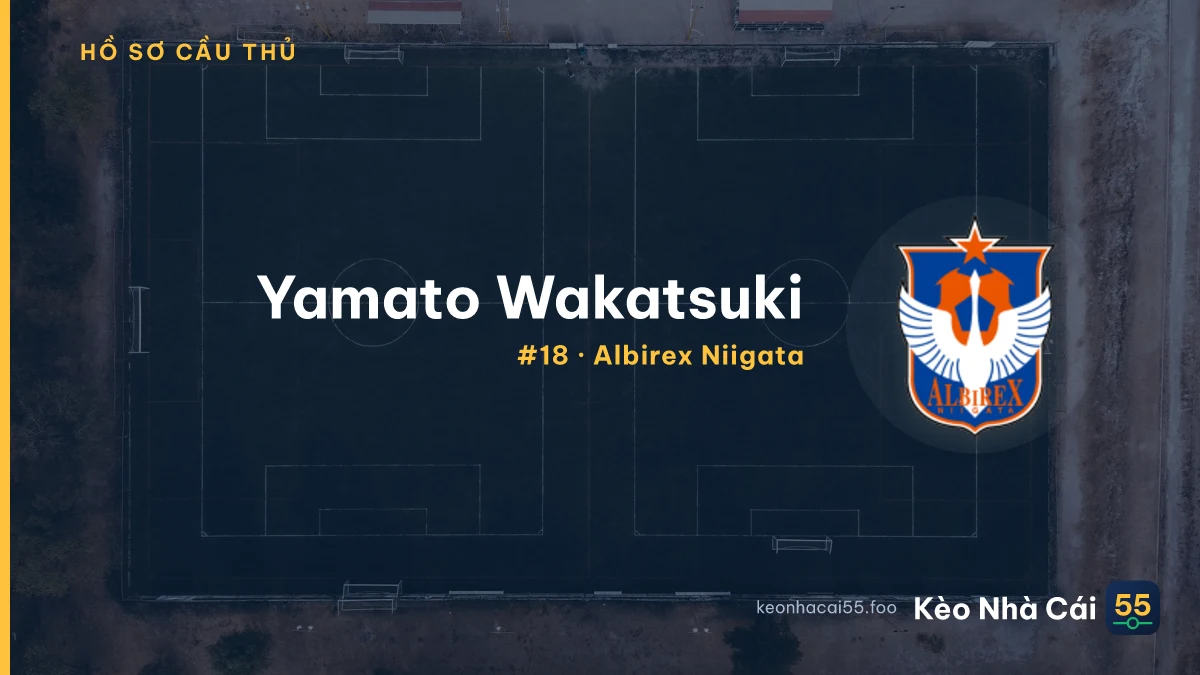Yamato Wakatsuki — Albirex Niigata