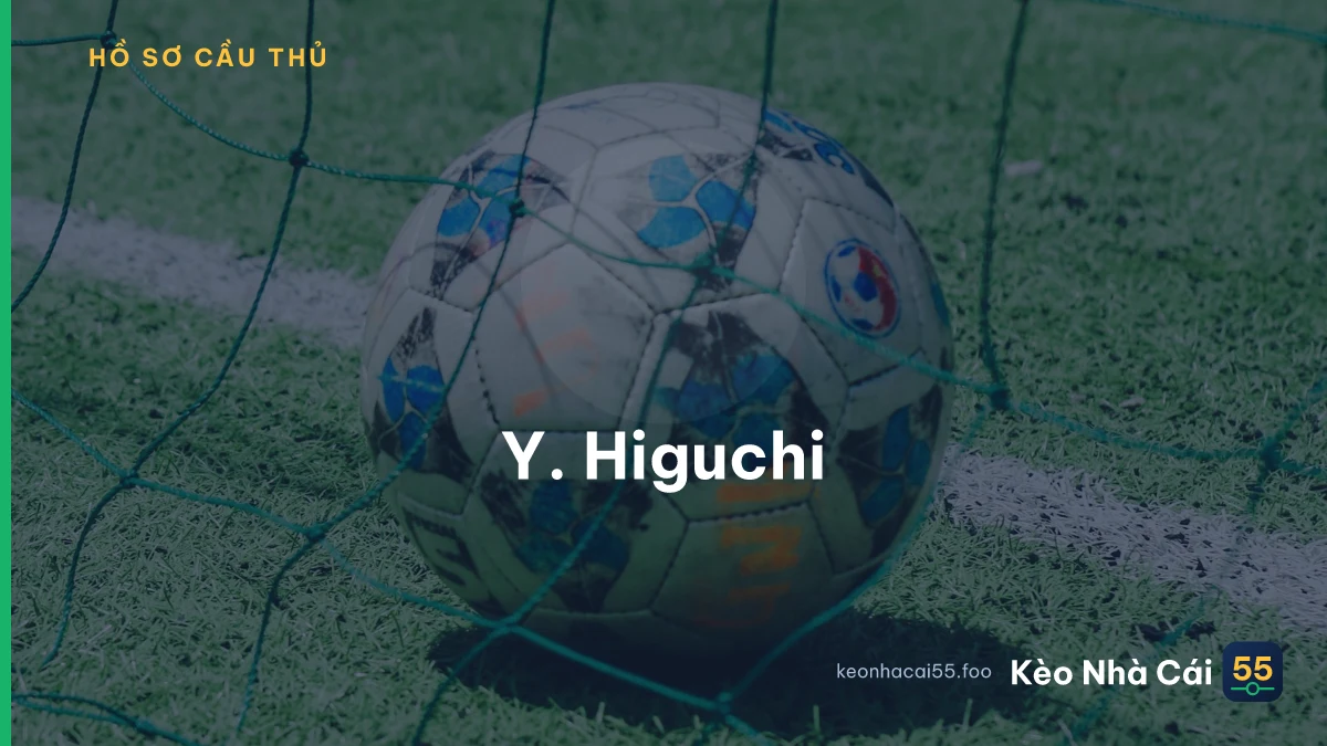 Y. Higuchi