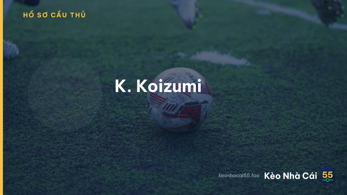 K. Koizumi
