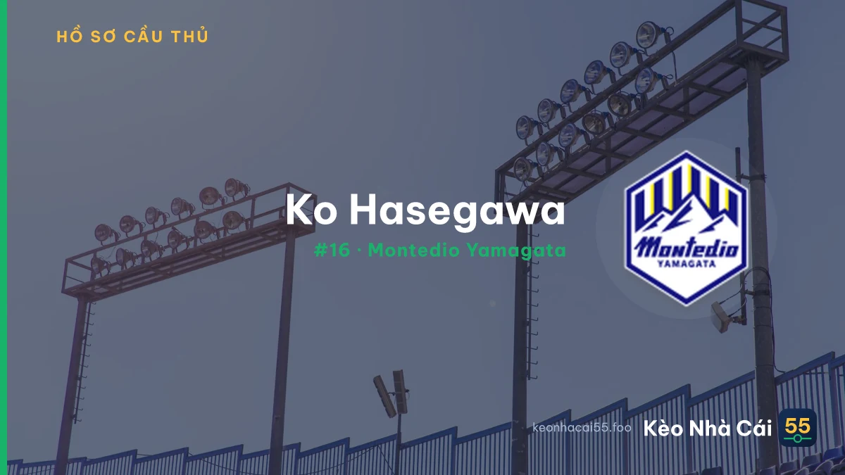 K. Hasegawa