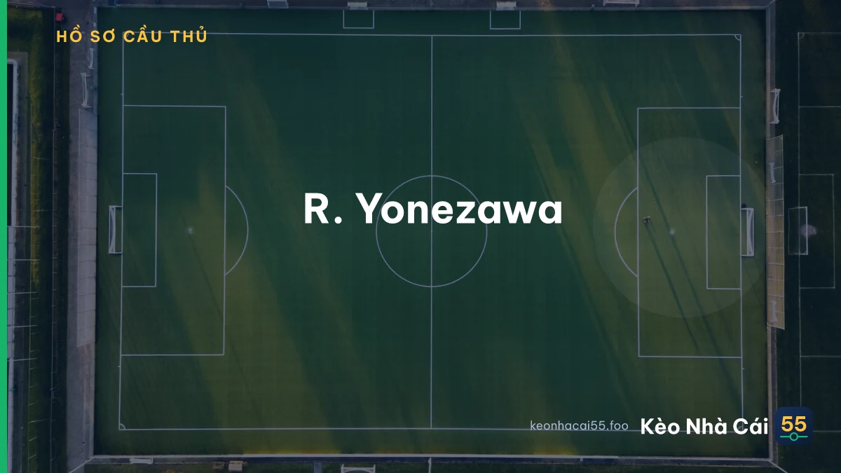 R. Yonezawa